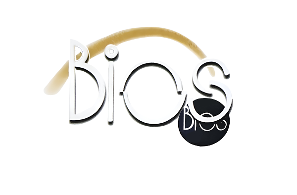 BIOS Logo